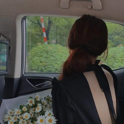 精灵守护者最终章